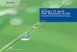 Green IT and the bottom line  - KPMG
