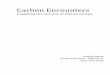 Carbon Encounters - wiredspace.wits.ac.za