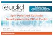 Spin Polarized Cathode Development for EIC at Euclid