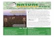 View/Download Newsletter (.pdf, 5.67 MB) - Nature Manitoba