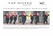 TAP NOTES - ReCreation Tappers