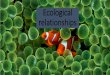 Ecological relationships - Campbell High