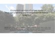 Ecosystem services of urban trees: how can planning and 