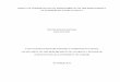 Effect Of Corporate Social Responsibility On The 