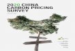 2020 CHINA CARBON PRICING SURVEY