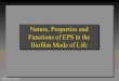 Nature, Properties and Functions of EPS in the Biofilm 