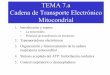 TEMA 7.a Cadena de Transporte Electrónico Mitocondrial