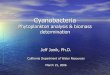 Cyanobacteria - State Water Resources Control Board