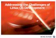 Addressing the Challenges of Linux OS Development