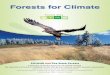 Forets for climate
