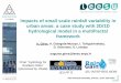 Impacts of small scale rainfall variability in urban areas 