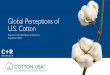 Global Perceptions of U.S. Cotton
