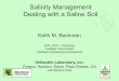 Salinity Management: Correcting a Saline Soil