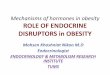 Mechanisms of hormones in obesity ROLE OF ENDOCRINE 