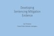 Developing Sentencing Mitigation Evidence