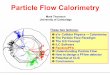 Particle Flow Calorimetry - Tsinghua University