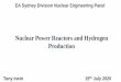 Nuclear Power Reactors and Hydrogen Production