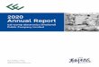 Annual Report 2020 2020 Annual Report - .NET Framework