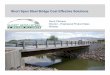 Short Span Steel Bridge Cost Effective Solutions