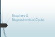 Biosphere, Biogeochemical Cycles & Energy!