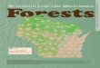W ISCONSIN L U M EGATRENDS ORESTS Forests