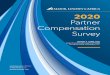 2020 Partner Compensation Survey