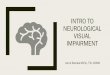 Intro to Neurological visual impairment