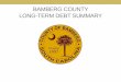 BAMBERG COUNTY LONG-TERM DEBT SUMMARY