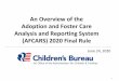 An Overview of the Adoption and Foster Care Analysis and 