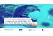 Impact of COVID-19 on ICT SMEs in Senegal - ITC
