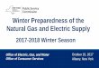 Winter Preparedness of the Natural Gas and Electric Supply