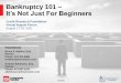 Bankruptcy 101 It’s Not Just For Beginners
