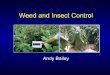 Weed and Insect Control - Dark Tobacco