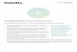 Deloitte Audit Clarity Financial Reporting Disaggregated 