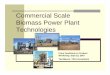 Commercial Scale Biomass Power Plant Technologies