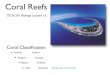 OCN201Bio12 Corals ToPost