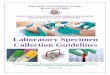 Laboratory Specimen Collection Guidelines