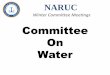 Committee On Water - NARUC