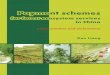 Payment schemes for forest ecosystem services in China 