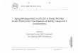 Aging Management and PLEX in Swiss Nuclear Power Plants 