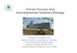 Virtual Tissues and Developmental Systems Biology
