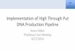 Implementation of High Through Put DNA Production Pipeline