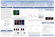 P 5 Pre-clinical Investigation of the Wee1 Inhibitor, MK 