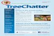 Friends of the Anglesey Red Squirrels Trust TreeChatter