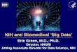 NIH and Biomedical 'Big Data