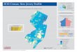 2010 Census: New Jersey Profile (PDF)