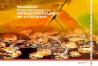 roadmap for research infrastructures of lithuania