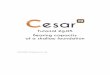 CESAR 2D - Tutorial 2g.05 - Bearing capacity of a shallow 