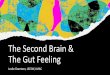 The Second Brain & The Gut Feeling