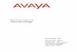 Avaya Contact Center Terminology